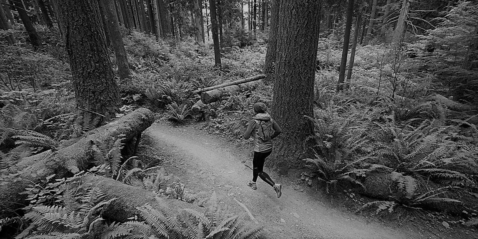 Image for Run London Epping Forest 5K